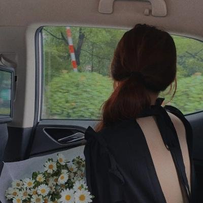 她是朕的掌上明珠